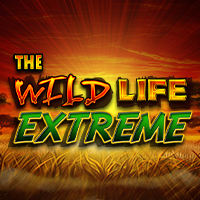 The Wild Life Extreme in New Games